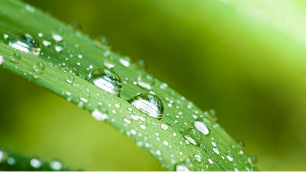 潮濕多雨天氣，人都要發(fā)霉了，那些電氣設(shè)備該怎么辦？